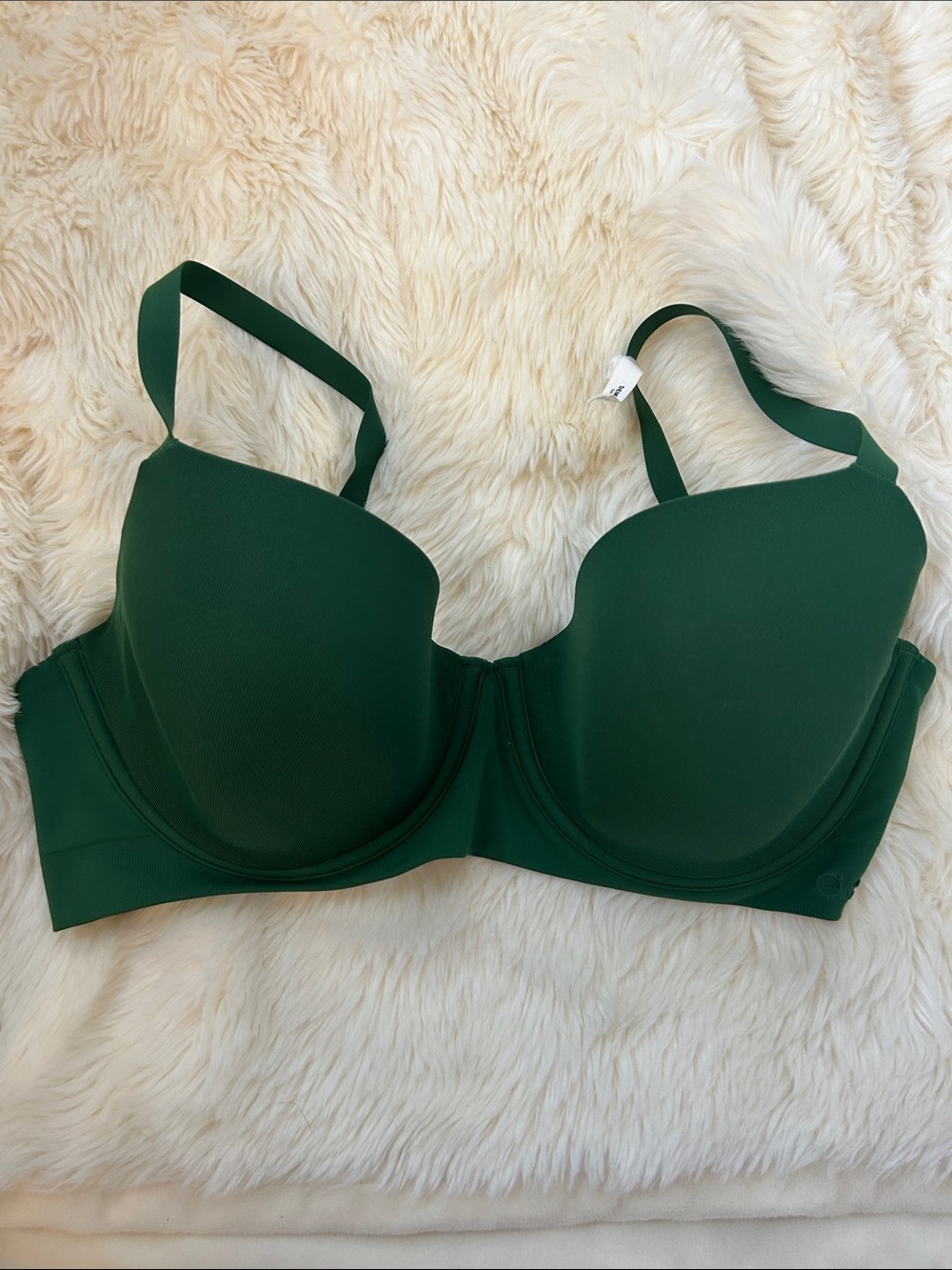 NWT Aerie Smoothez Demi Bra in Kelly Green 36D